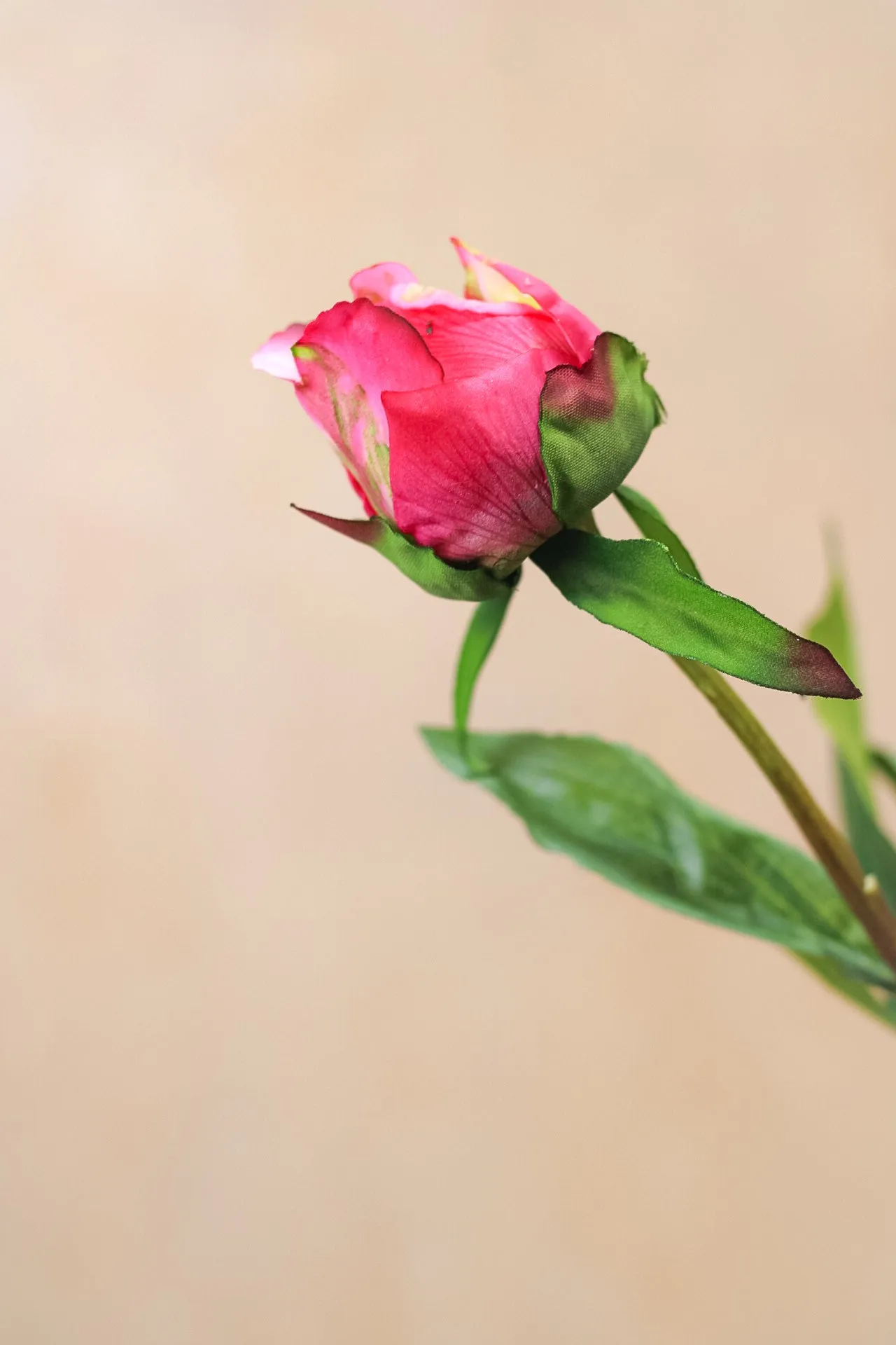 Faux Fuchsia Tight Bud Peony Stem