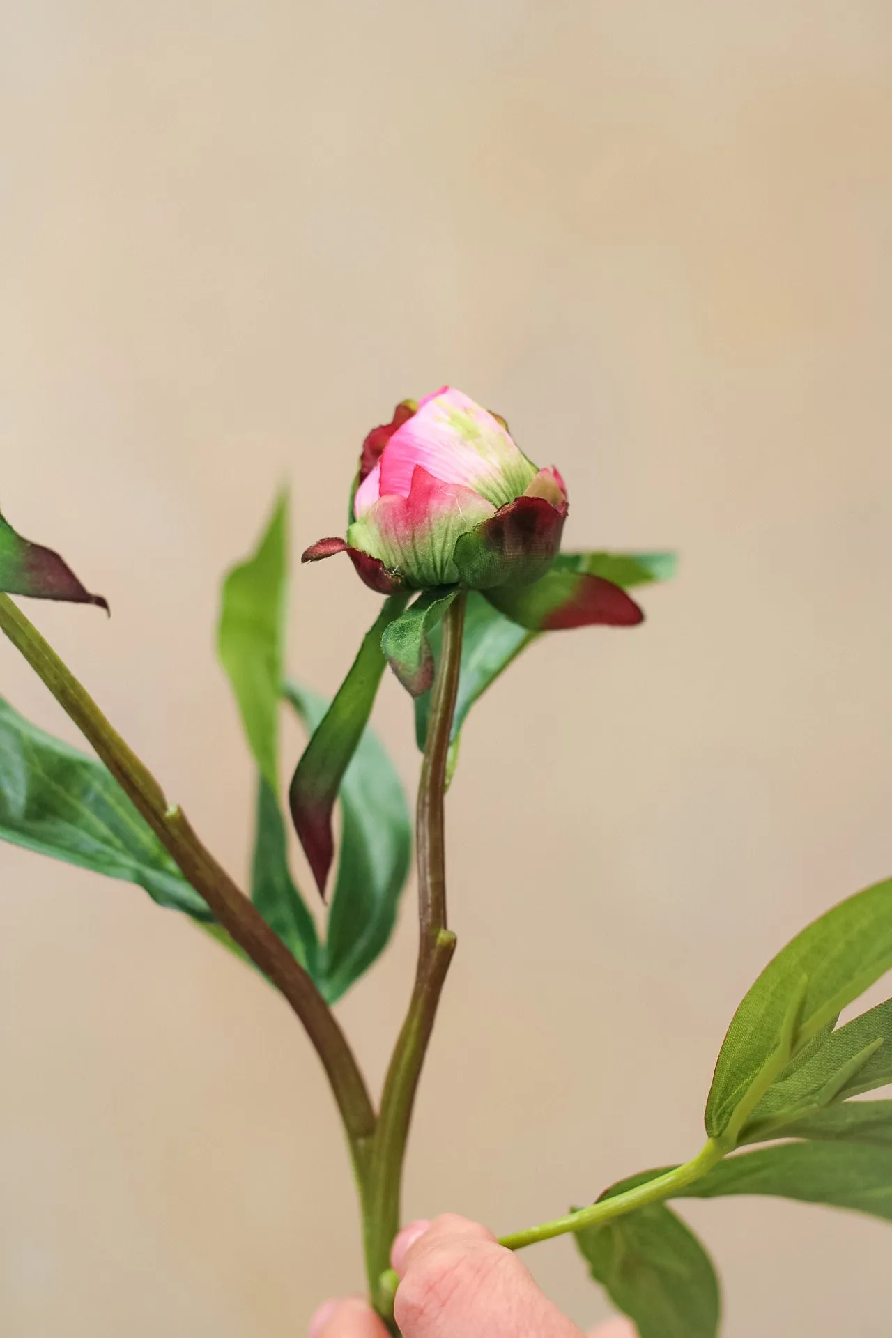 Faux Fuchsia Tight Bud Peony Stem