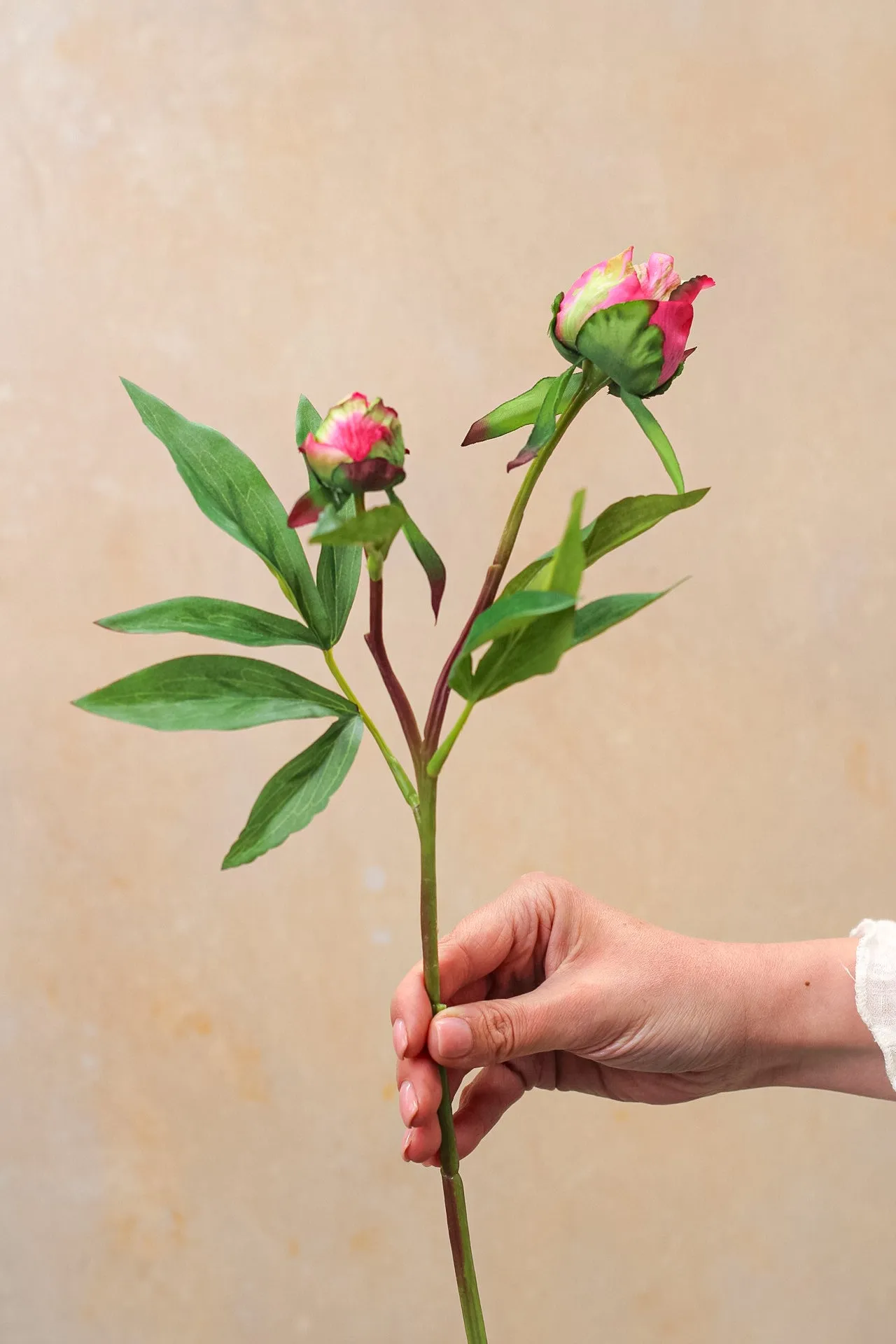 Faux Fuchsia Tight Bud Peony Stem