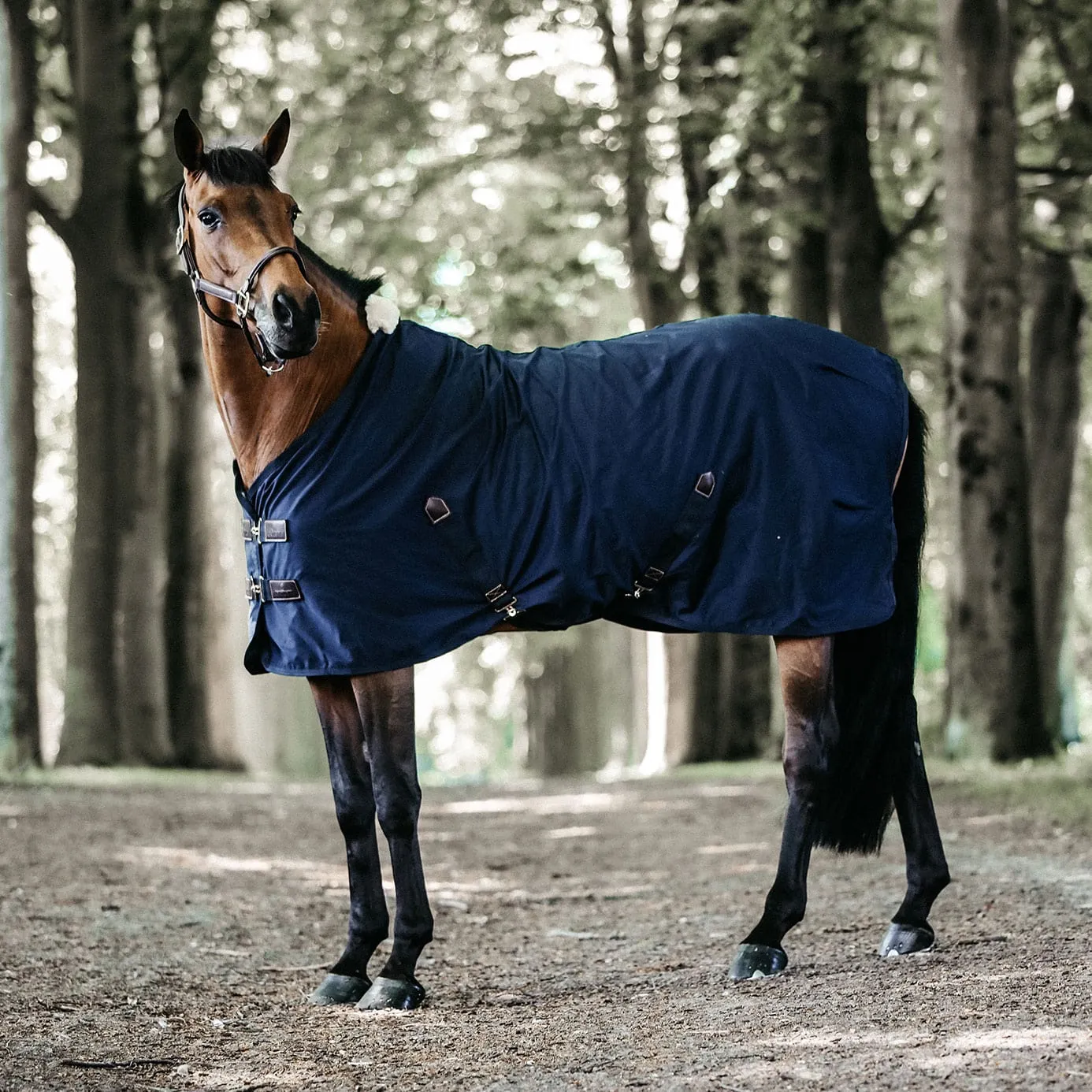 Kentucky Horsewear Cotton Sheet - Navy